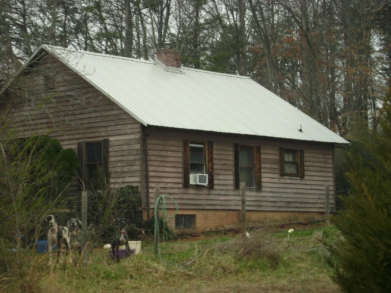 White metal roof on an old wood sided farmhouse, from a Metal Roof Installation job in Herman
